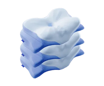 Derila Ergo set van drie kussens